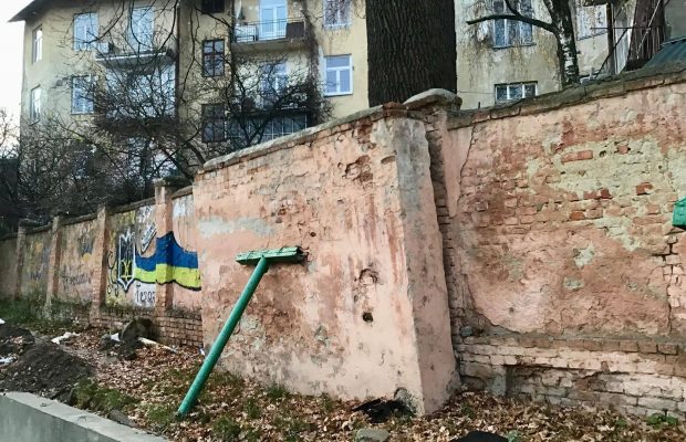 У Львові вимагають зрізати 150-літній дуб 