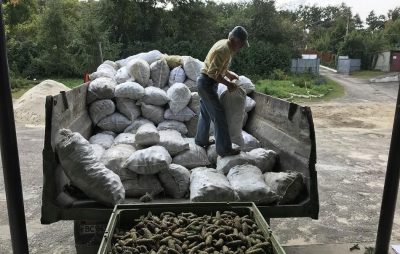 Підприємства Львівського лісомисливського господарства заготовили рекордну кількість лісового насіння. Фото: прес-служба ЛОДА.