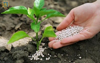 На Львівщині аграрія пропонують обміняти сільськогосподарську продукцію на мінеральні добрива
