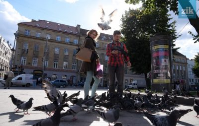Як у Львівській мерії рахували голубів. Фото: ZIK