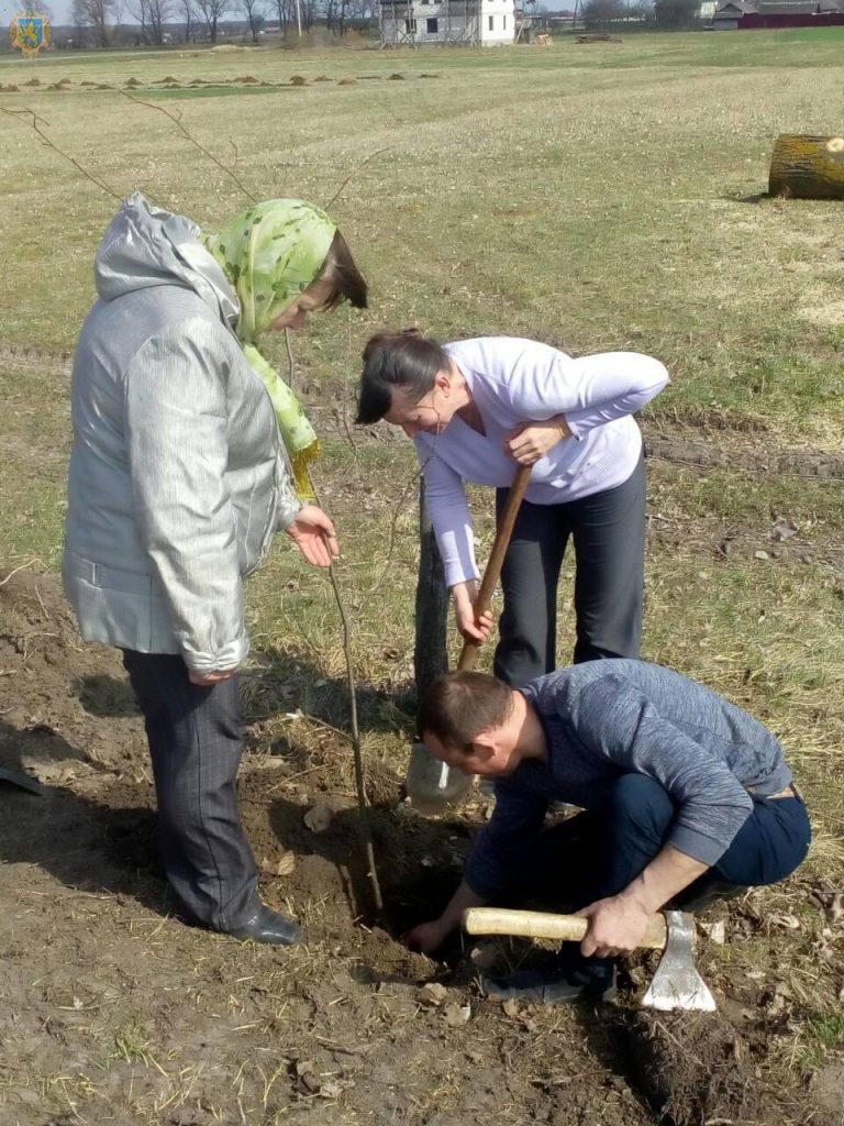 На Львівщині триває місячник озеленення та благоустрою