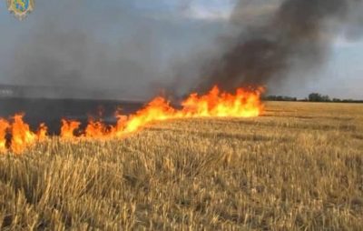 Мешканців Львівщини закликають не спалювати суху траву