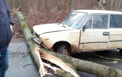 На Львівщині з автошляхів прибирають повалені дерева. Фото ГУ ДСНС у Львівській області.