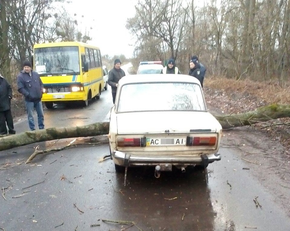 На Львівщині з автошляхів прибирають повалені дерева. Фото ГУ ДСНС у Львівській області.
