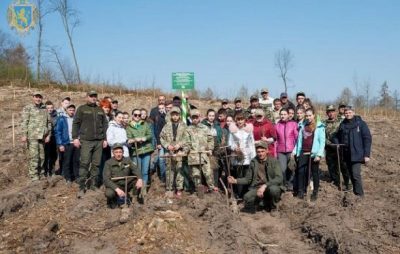 На Львівщині завершується весняна лісокультурна кампанія