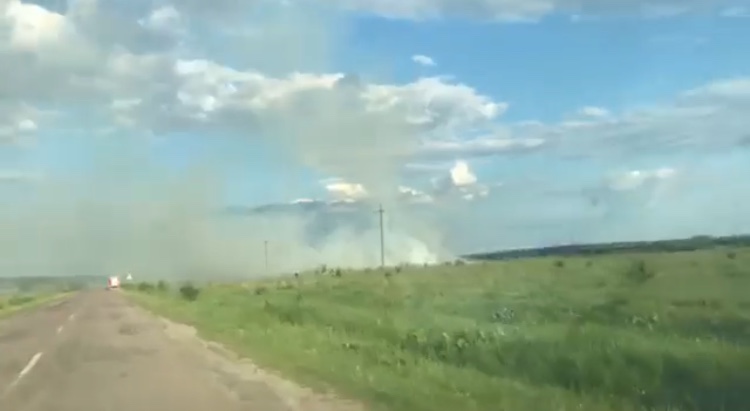 На Жовківщині сильна пожежа охопила поле. Фото: 4studio.