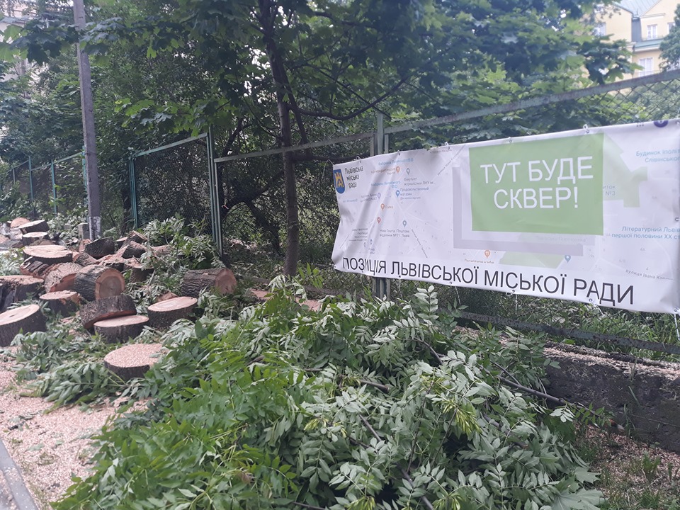 Підлеглі Садового продовжують зрізати дерева у Львові