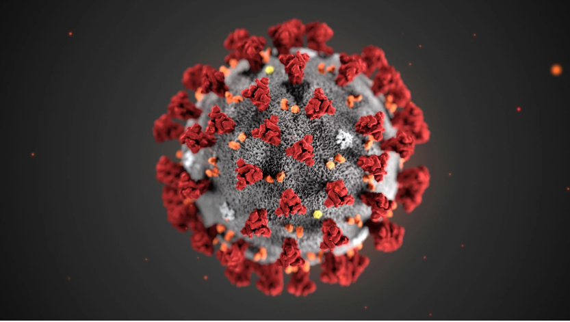 Американські вчені продемонстрували зображення коронавірусу. Фото: Reuters.