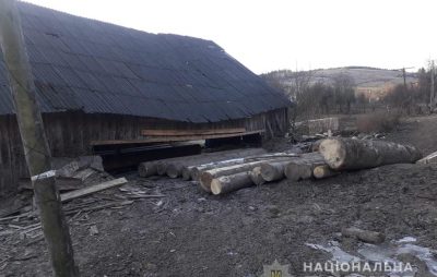 На Львівщині продовжують незаконно вирубувати ліс. Фото: ГУ НП.