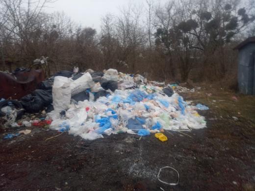 На Львівщині місто потопає у горах сміття. Фото: Буськ онлайн.