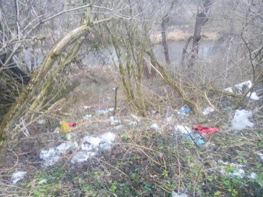На Львівщині місто потопає у горах сміття. Фото: Буськ онлайн.
