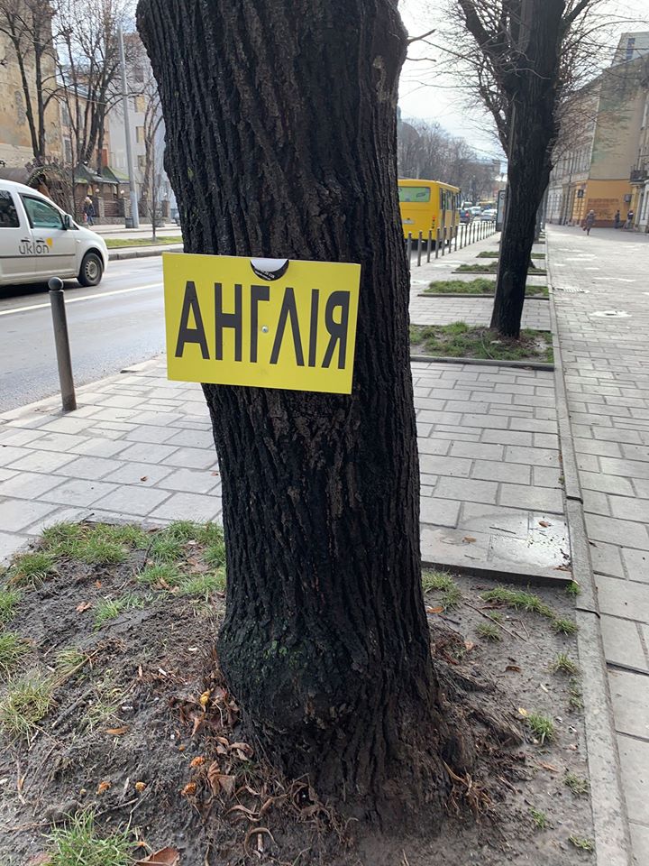 Як у Льовові реклама нищить дерева. Фото: Наталя Попович.