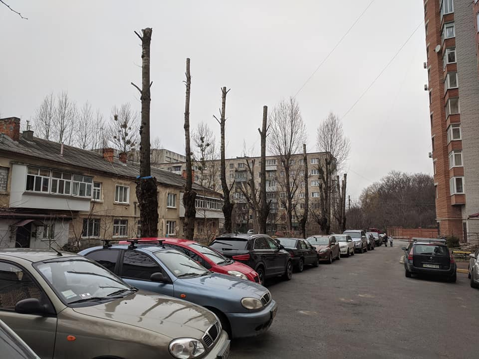 Як у Львові знищили дерева. Фото: Зручне місто.