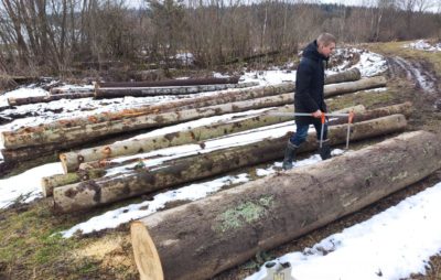 На Старосамбірщині поліцейські виявили незаконно зрубану деревину. Фото: ГУ НП.