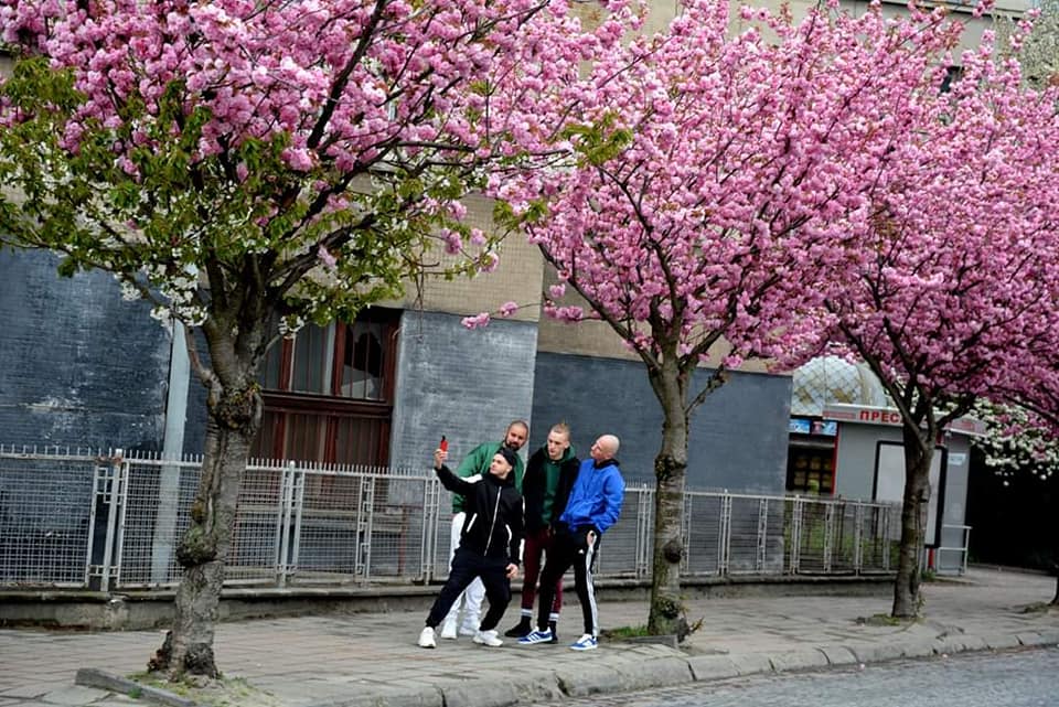 Як у Львові розквітли сакури. Фото: Василь Корпан.