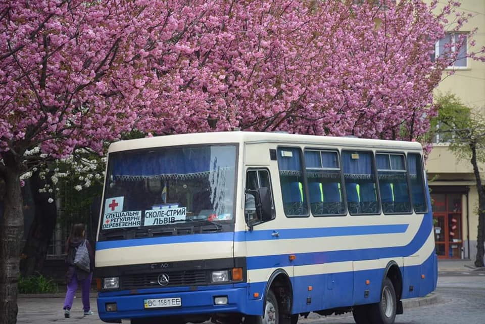 Як у Львові розквітли сакури. Фото: Василь Корпан.