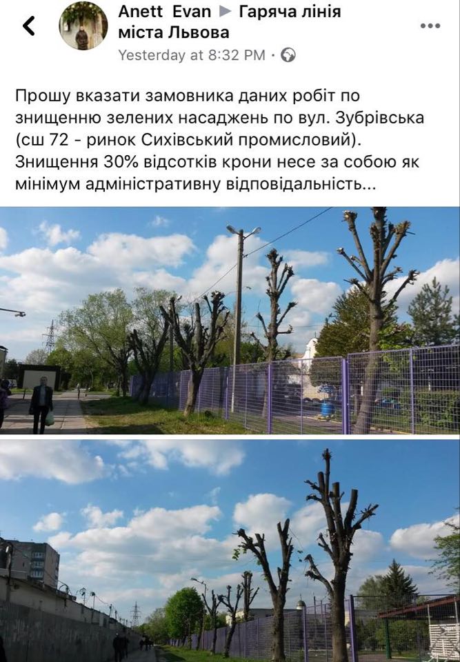 Як у Львові знищили дерева. Фото: скриншот.