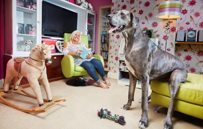 У Великій Британії помер найвищий у світі пес. Фото: guinnessworldrecords.com