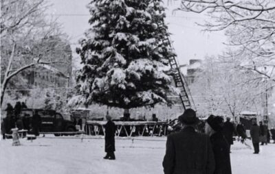 У Львові прикрашають головну ялинку міста, грудень 1960 року. Світлив Юліан Дорош