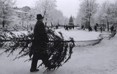 Чоловік несе ялину додому у Львові в грудні 1960 року. Світлив Юліан Дорош