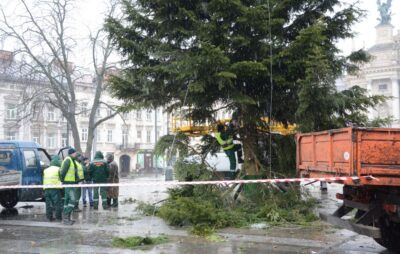У Львові демонтували головну ялинку міста. Фото: ЛМР