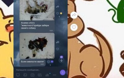 На Одещині жінка вбила собаку