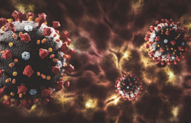 Антитіла до коронавірусу живуть в організмі 9-10 місяців. Фото з відкритих джерел