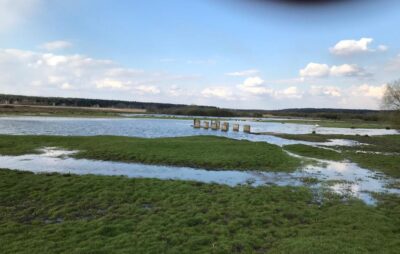 У Яворівському районі річка затопила пасовище. Фото: Сергій Задорожний