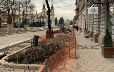 У Львові на вулиці Степана Бандери зрізали здорові дерева. Фото: Victor Mukan
