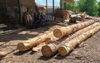 На Львівщині незаконно вирубують дерева. Фото: Поліція Львівської області