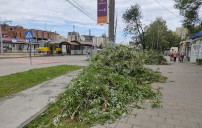 У Львові на Княгині Ольги вітер поламав дерева. Фото: Марія Борис