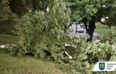 У Львові негода повалила 27 дерев. Фото: Львівська міська рада