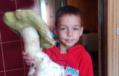 На Львівщині знайшли велетенського гриба