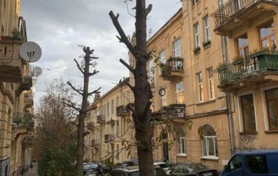 У Львові за три тисячі гривень знищили дерева