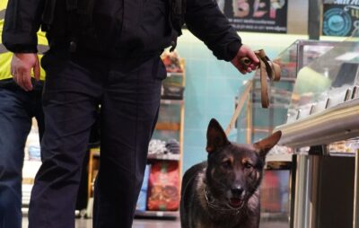 У Львові поліцейські шукали в торгових центрах вибухівку