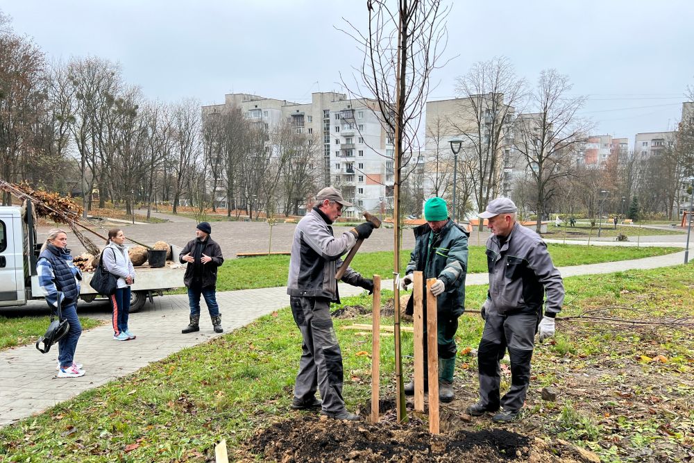 У Львові сім’я захисника подарувала місту три дерева