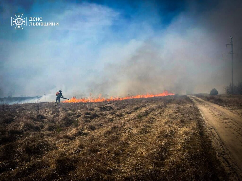 Мешканців Львівщини закликають не палити суху траву