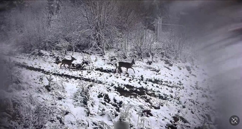 На Львівщину прийшла зима