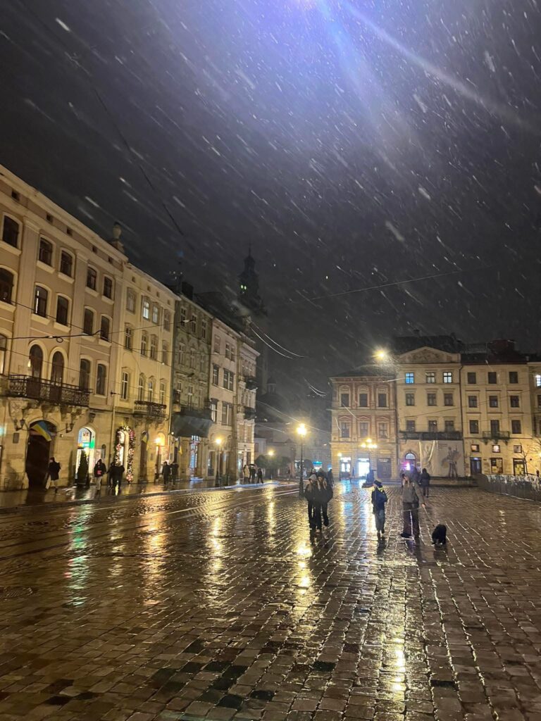 У Львові випав сніг