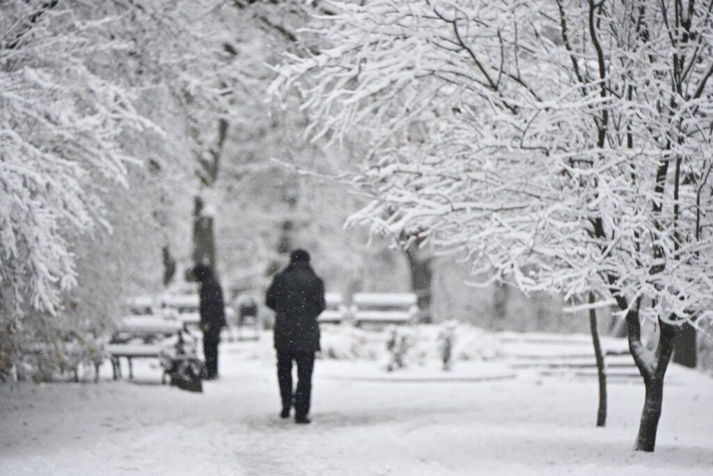 Львів перетворився на зимову казку