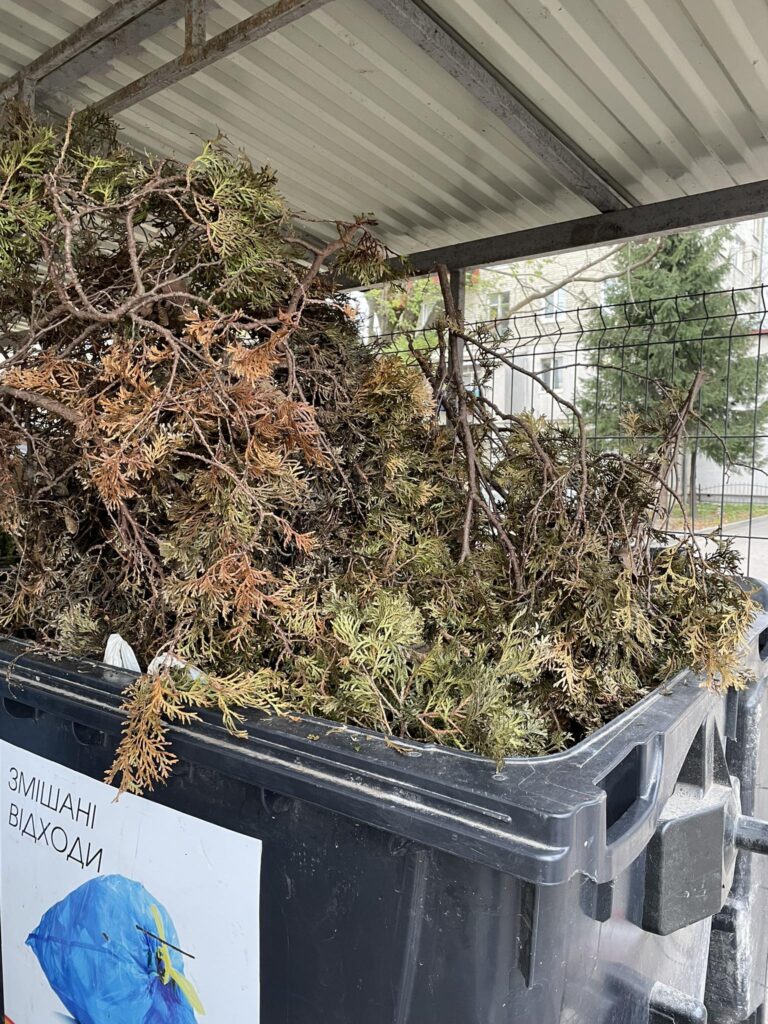 У Львові просять не викидати гілля у сміття