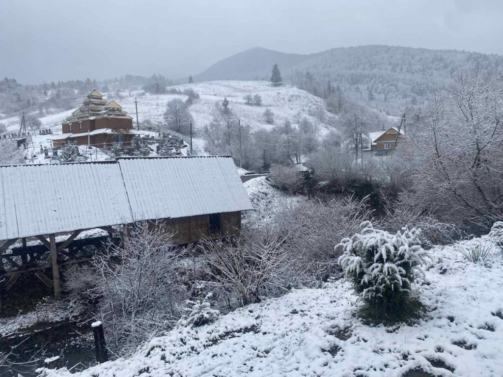 На Львівщині випав сніг