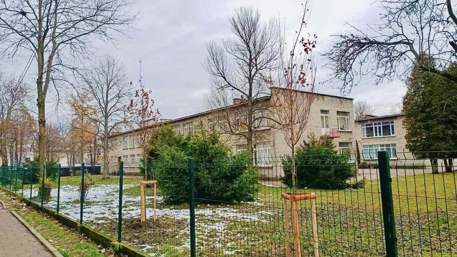 У Львові у дитсадку висадили 6 червоних кленів