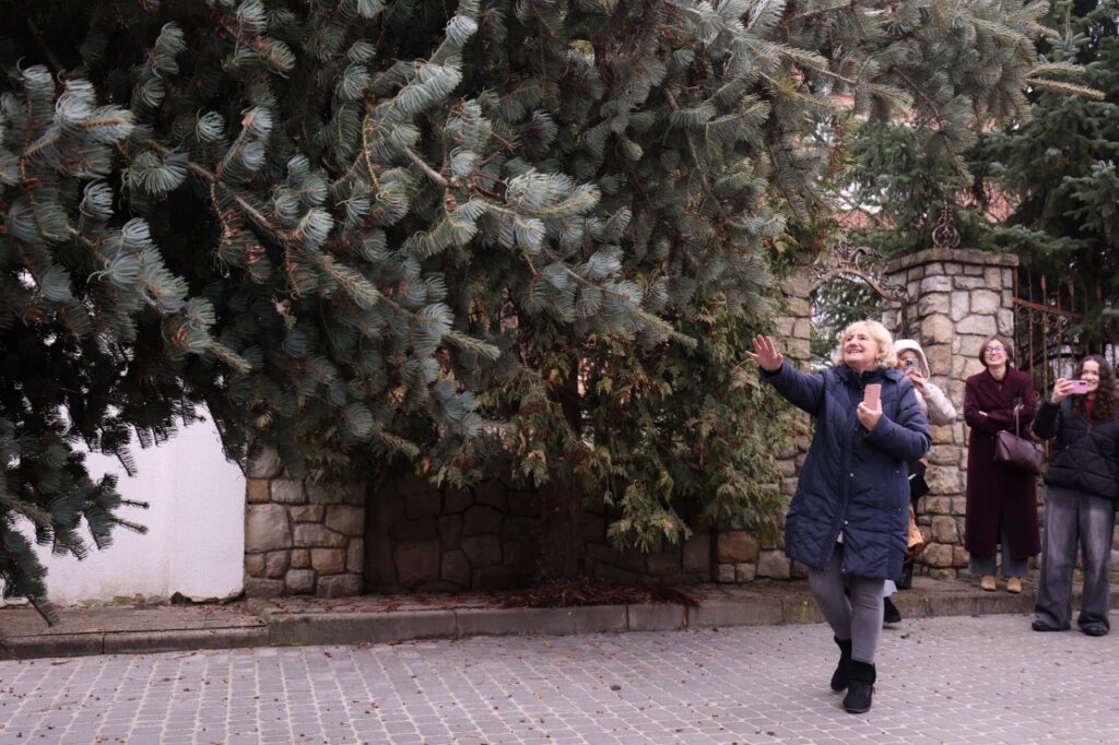 У Львові встановлюють ялинку