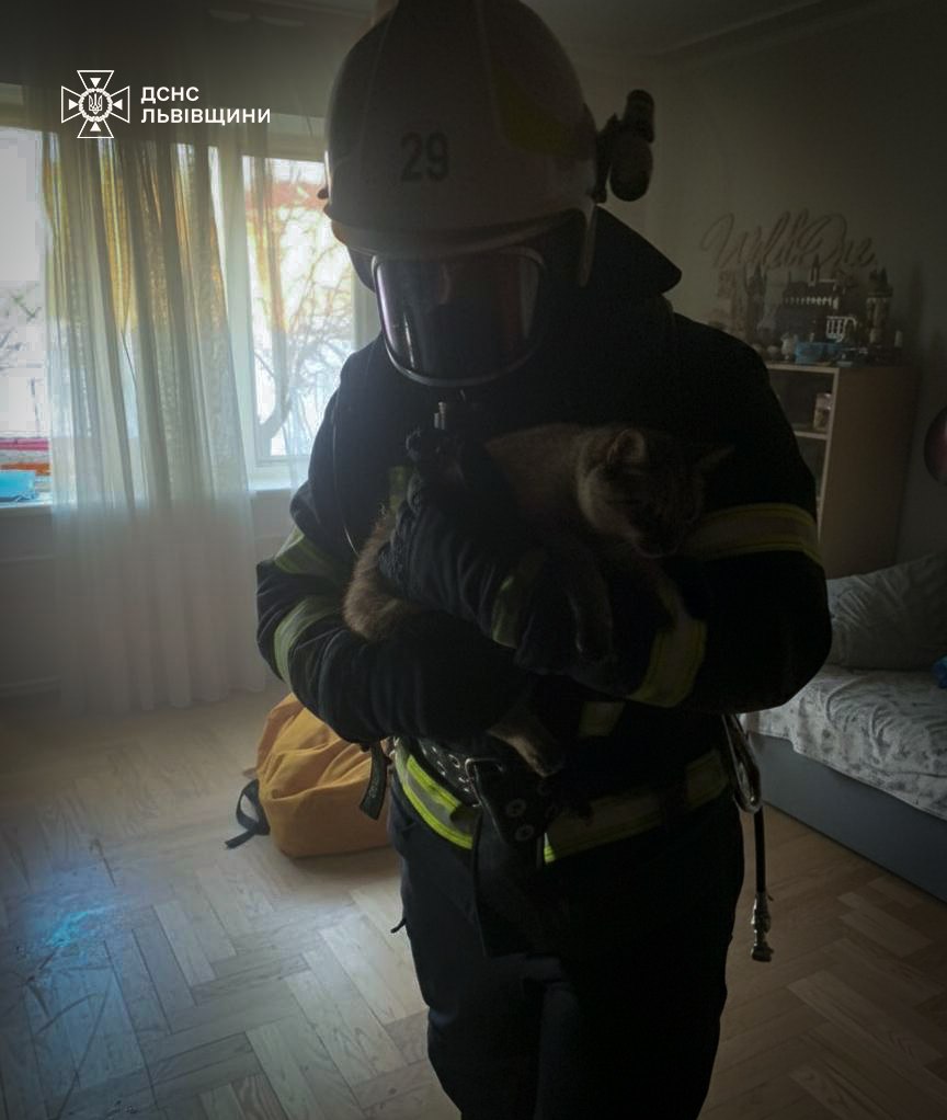 У Львові рятувальники врятували котика з задимленої квартири