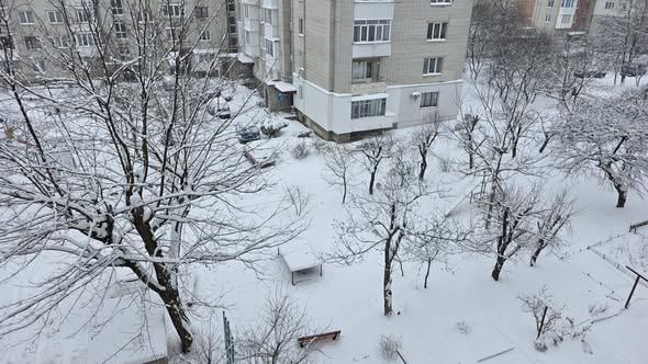 Новий Розділ засипало снігом