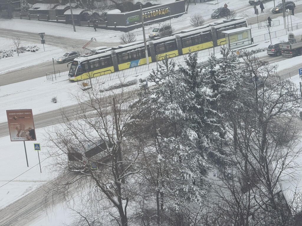 У Львові через сніг зупинився рух