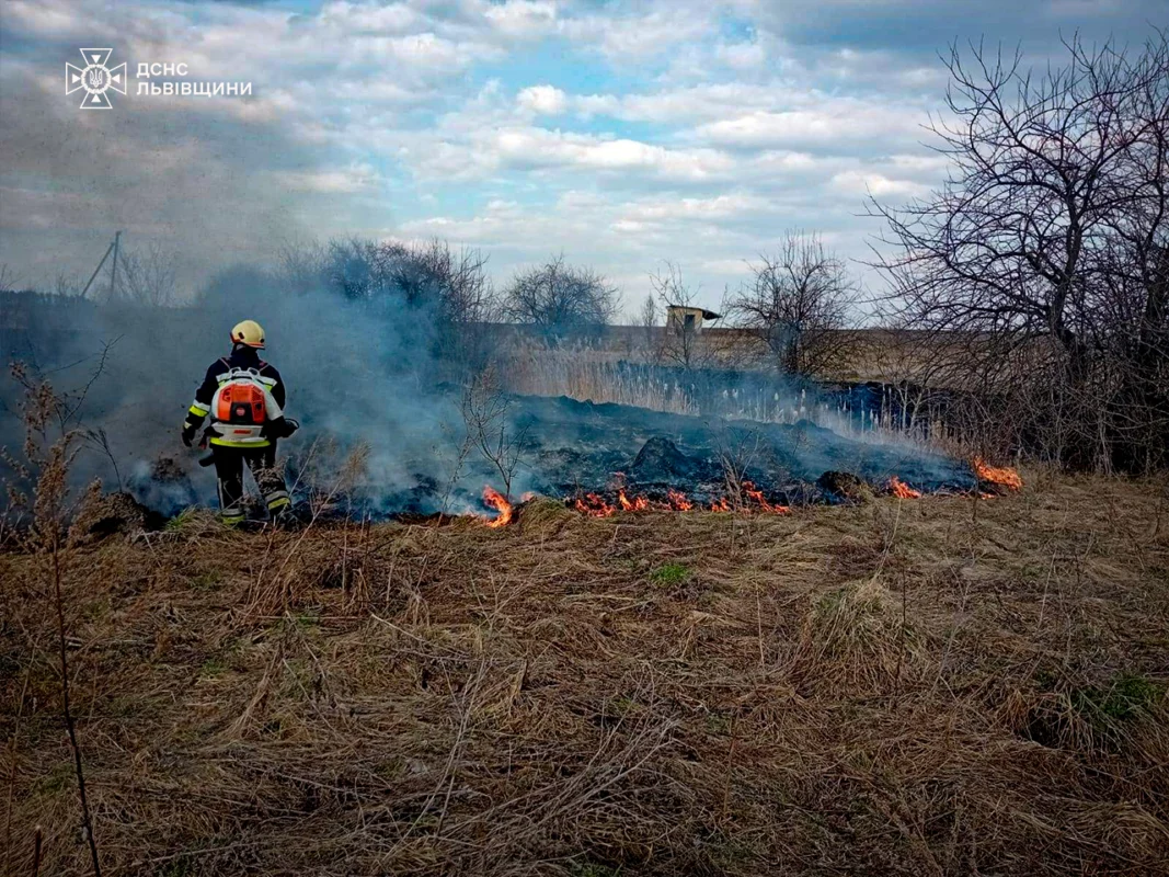 На Львівщині за добу 56 разів палили суху траву