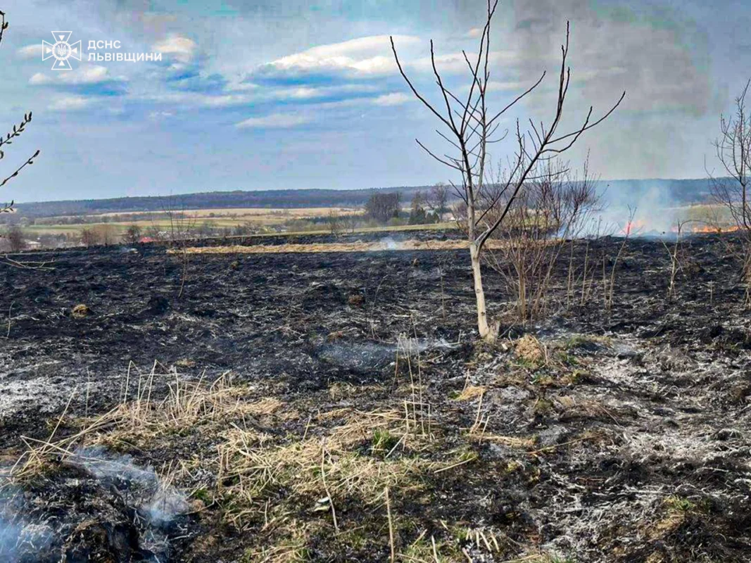 На Львівщині за добу 56 разів палили суху траву