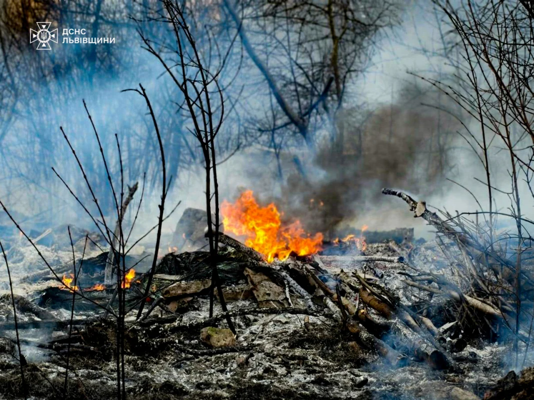 На Львівщині за добу 56 разів палили суху траву